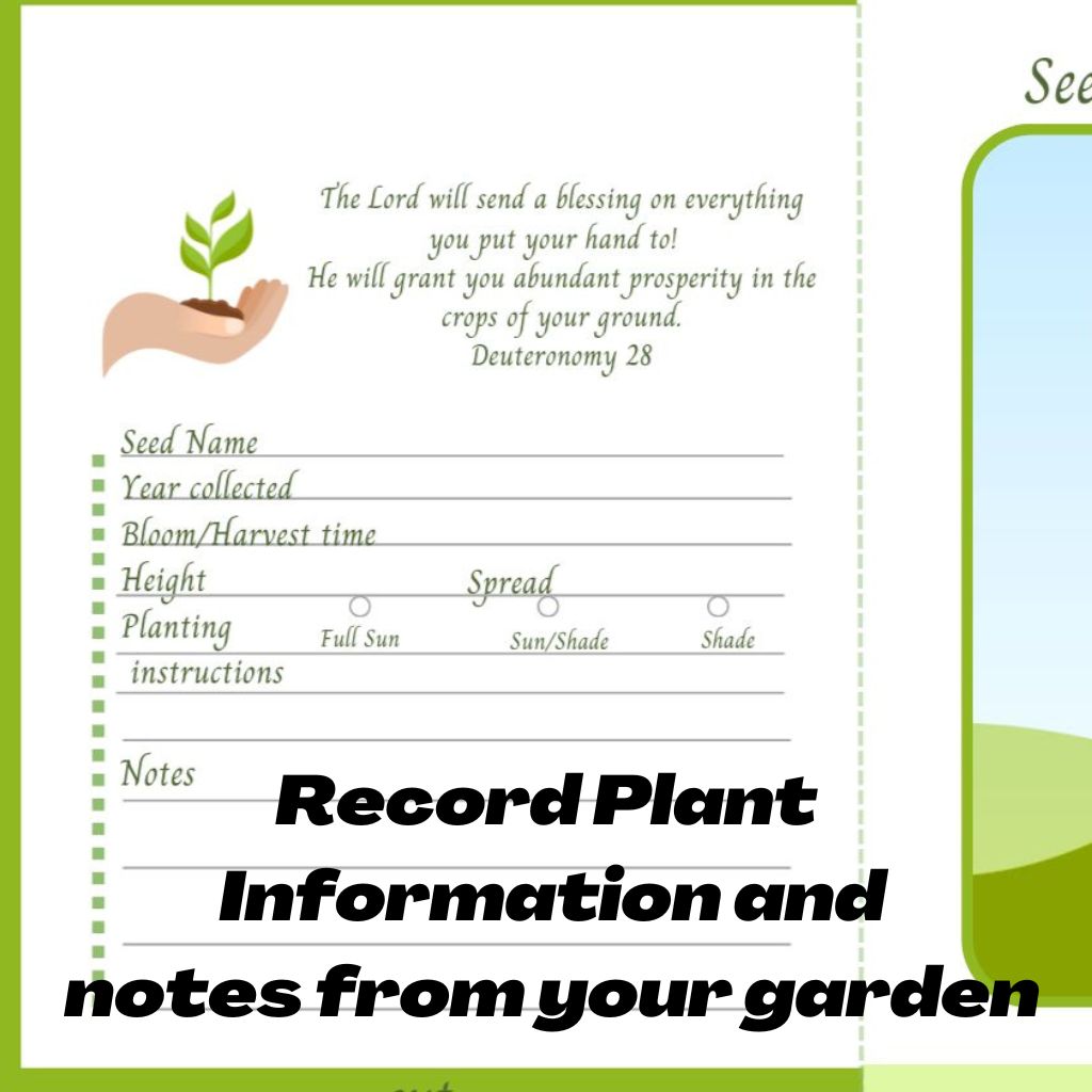 Seed Packet Canva Template
