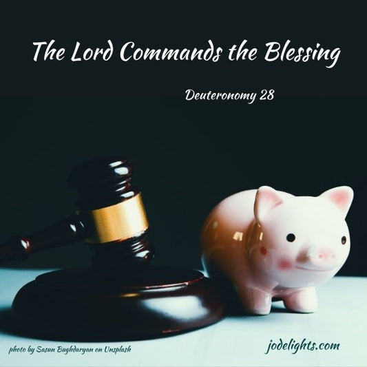 gavel and piggy bank Deut. 28