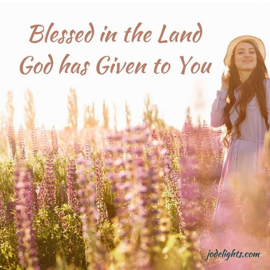 blessed in the land, girl in field of flowers