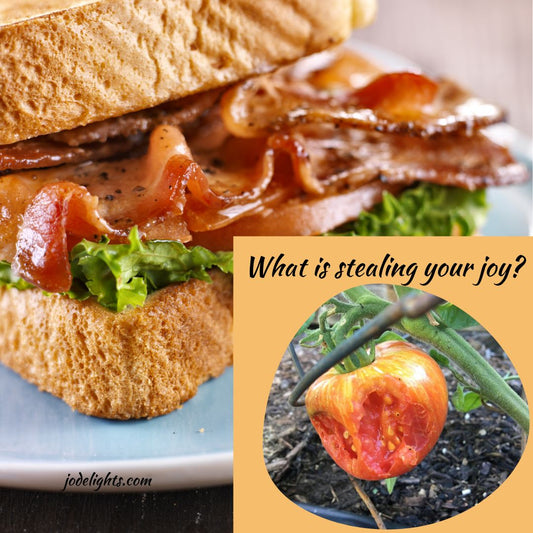 What is Stealing Your Joy?