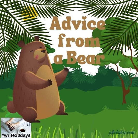 Advice from a Bear