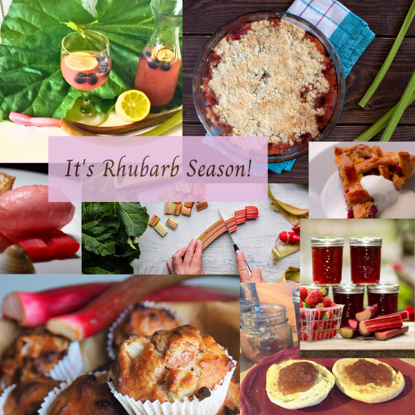 It's Rhubarb Season!