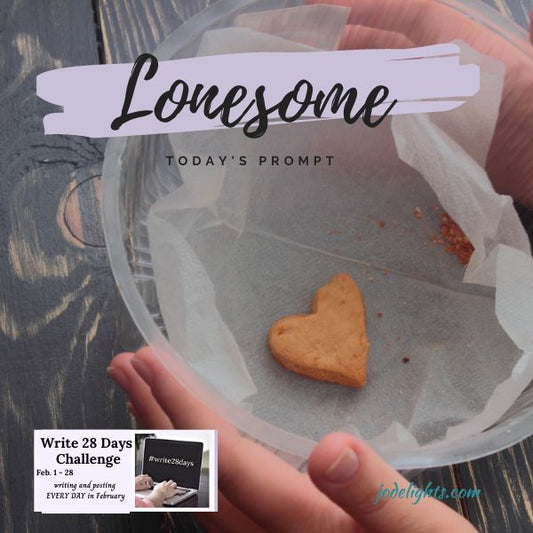 Lonesome Cookie