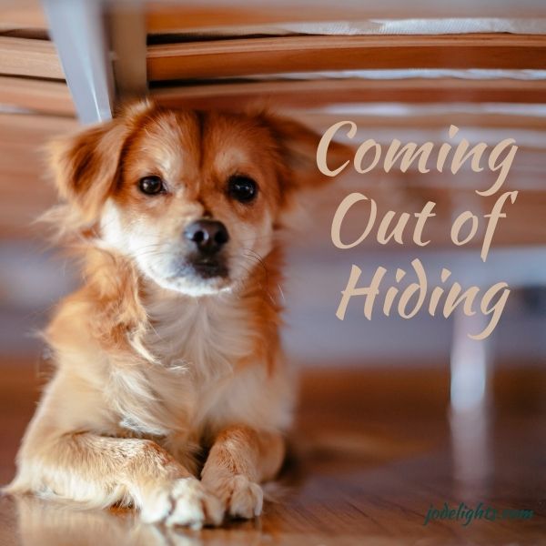 Come Out of Hiding