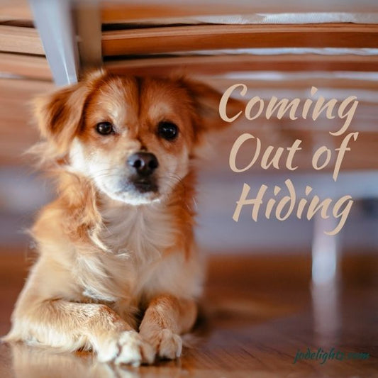 Come Out of Hiding
