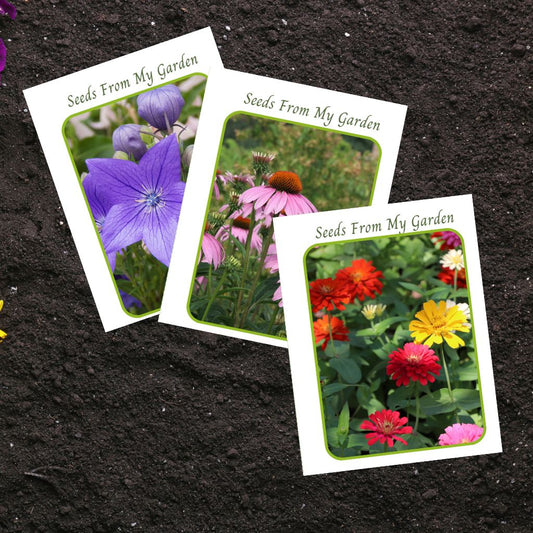 Seed Packet Canva Template