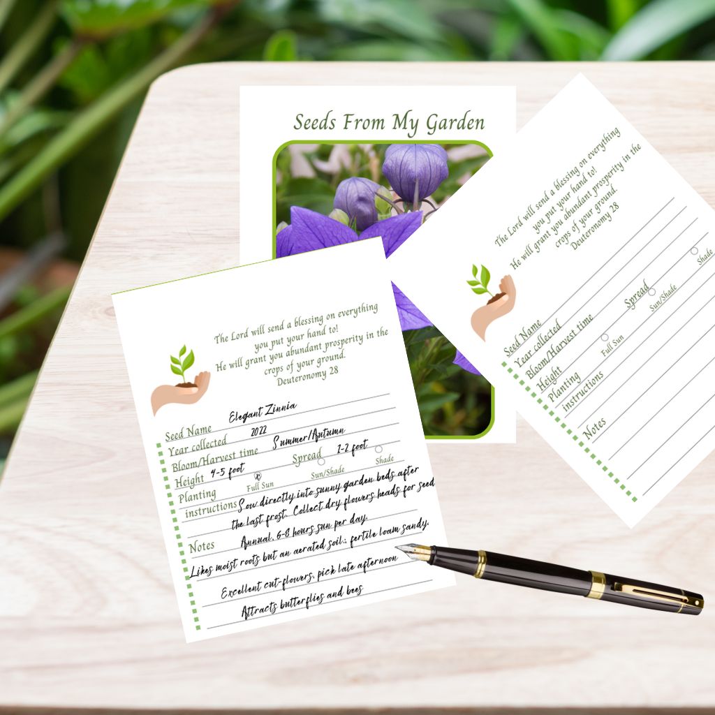 Seed Packet Canva Template