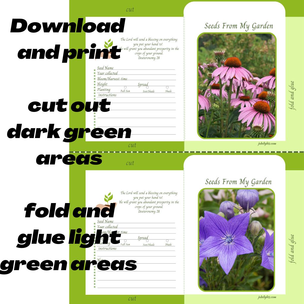 Seed Packet Canva Template